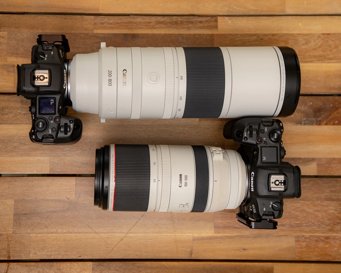 Keep the size in mind. The RF 200-800mm is not a lens that will fit a camera bag easily.