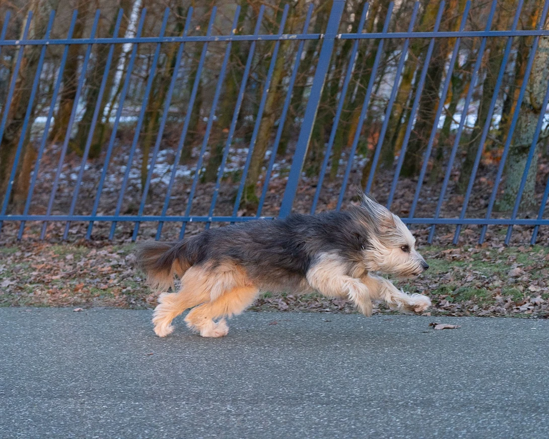 The rolling shutter effect as it happens with the electronic shutter of the Sony A7C R. It's quite severe with this camera.&nbsp;