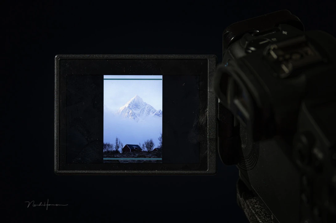 Checking a vertical image might be difficult on a small LCD screen.