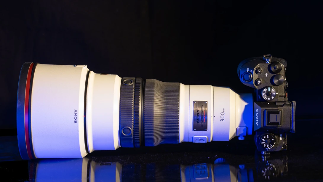All images, except for the studio shots, are made with this combination: the Sony A9 mark III in combination with the impressive FE 300mm f/2.8 GM OSS.