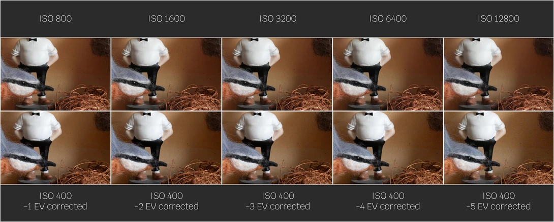 Side by side comparison between corrected underexposed Raw images and in-camera Jpeg.