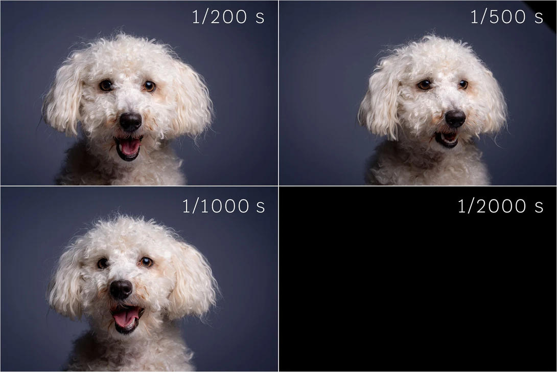 Although in most situations it has absolutely no use for studio portraits, it shows how the global shutter allows for fast shutter speeds. Up to the point where the t0.1 flash duration exceeds the shutter speed. In that case there is not enough time for t