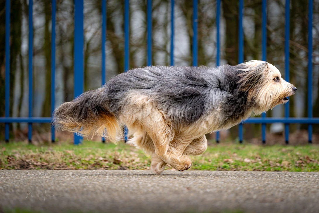 High speed panning shows absolutely no rolling shutter effect, thanks to the global shutter.