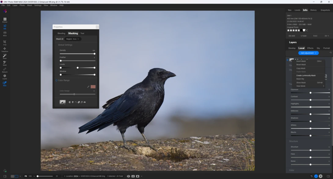 Screenshot of photo editing software showing a black bird on rocky ground with an adjustment panel open on the left side.