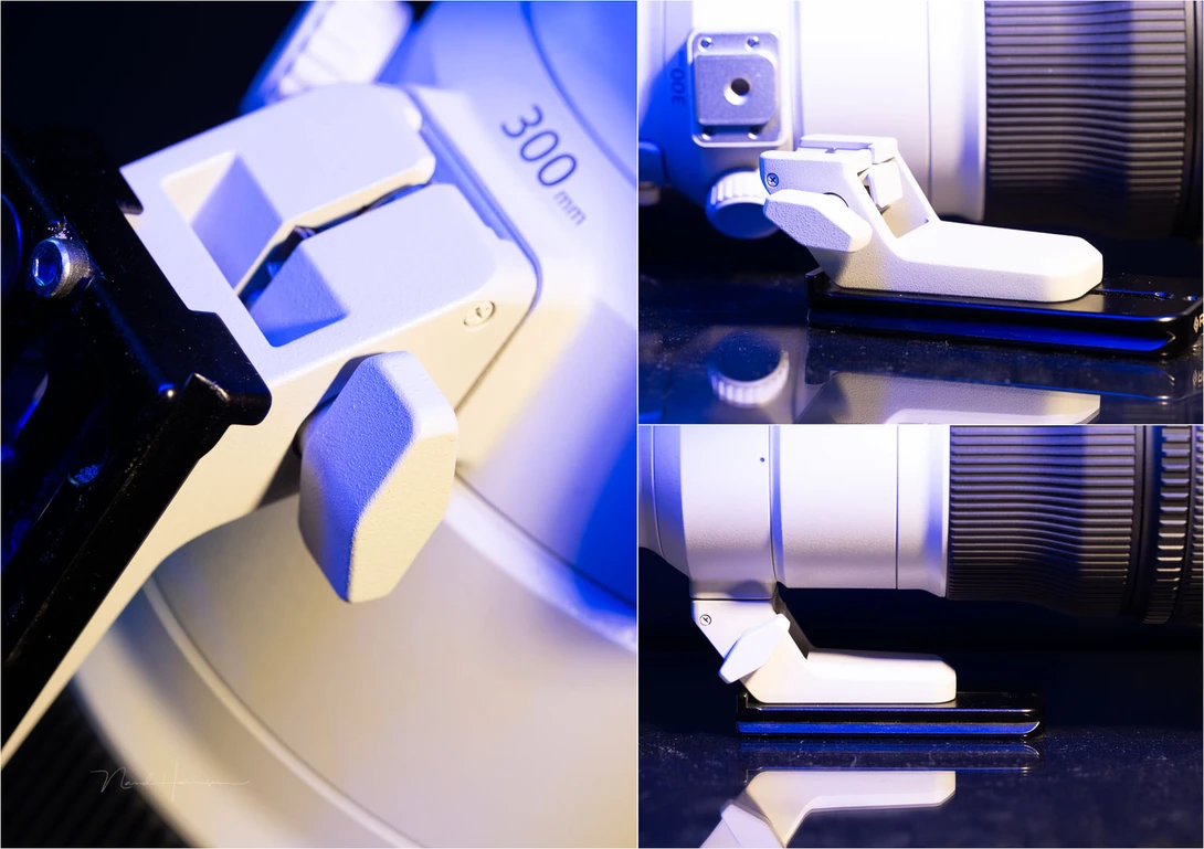 The lens collar can't be removed, but the foot itself can. It's fitted with a RRS lens plate for the necessary Arca Swiss connection.&nbsp;