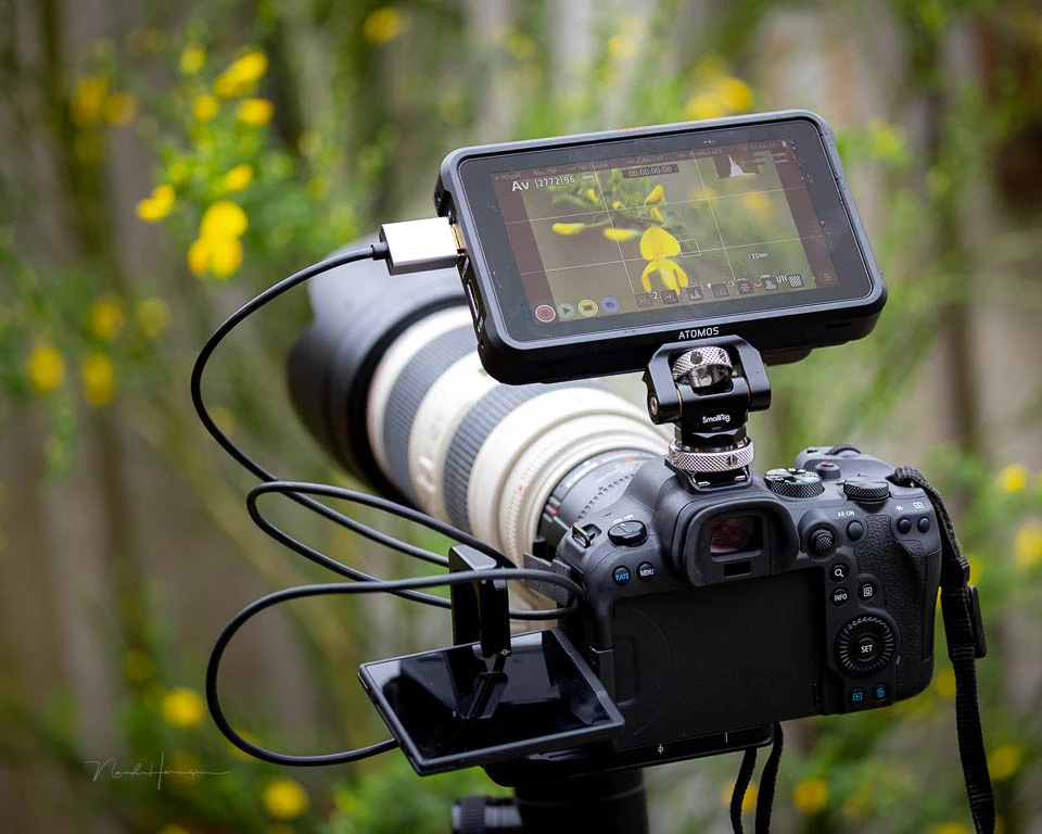 An external screen for macro photography.&nbsp;