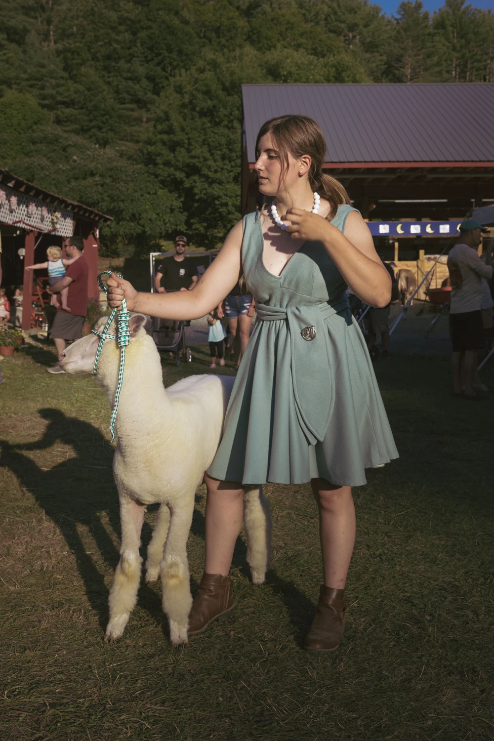 Prize Sheep at the Country Fair - Leica SL2-S, Gordon Webster