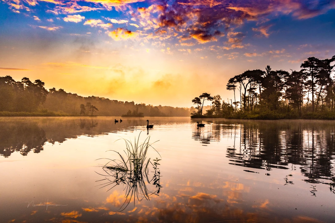 It's an example of an over the top post-processing, in an attempt to maken it more special.&nbsp;