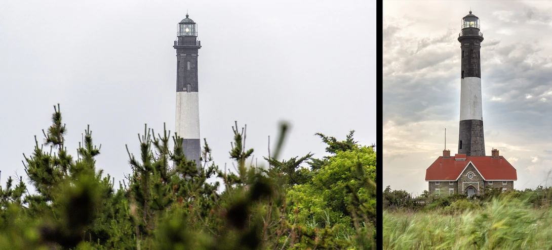 While the phase detection system was fairly accurate, using live-view on a tripod for precise manual focus always works better with stationary subjects.