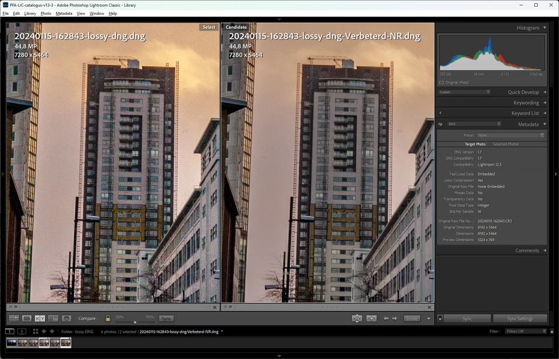Check the differences in image quality between a lossy DNG with, and without AI noise reduction performed on the original raw file.