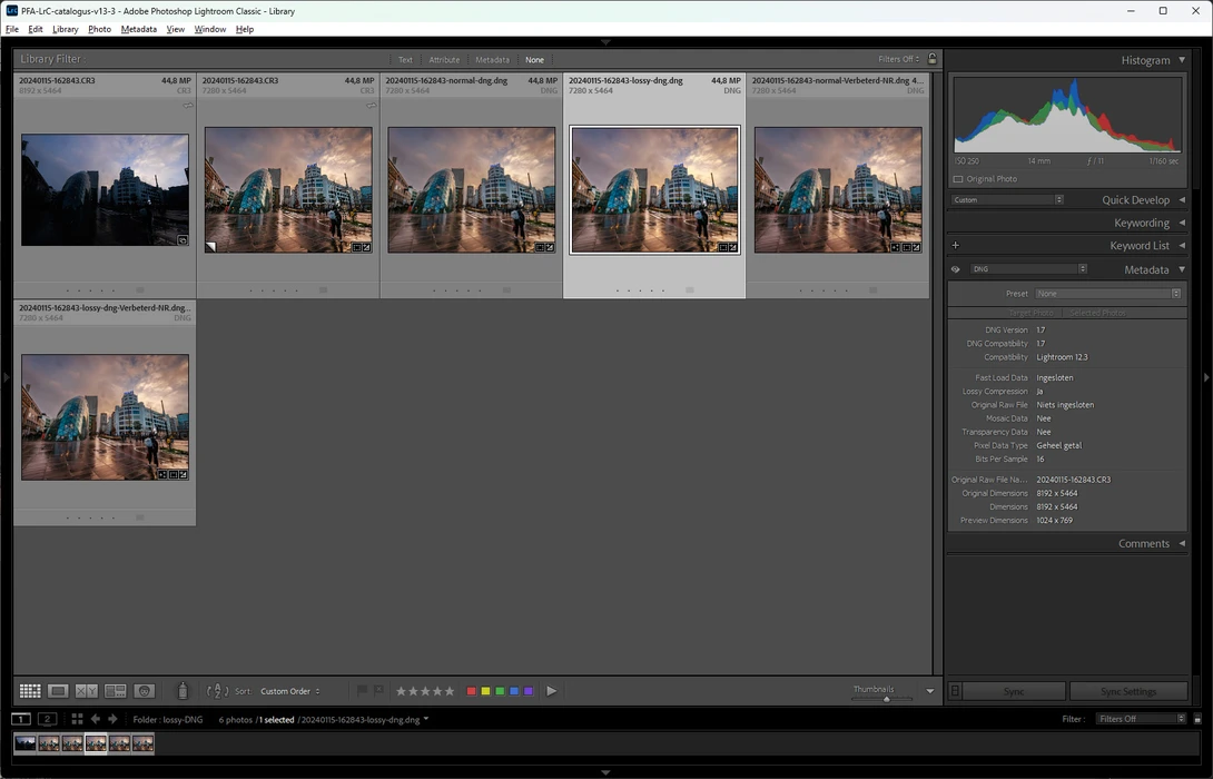 The mosaic data is removed from the file. This shows that a lossy DNG is no longer a true raw file
