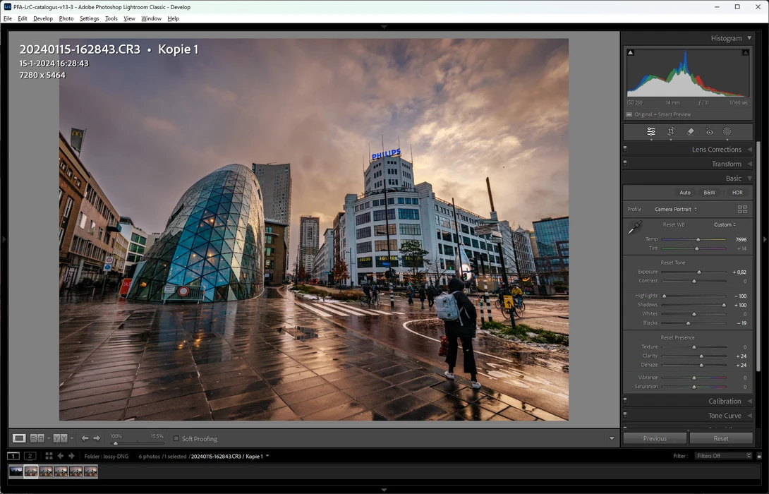 A look at the settings for this edit. If lossy DNG affects image quality, it will become easily visible with this processing.