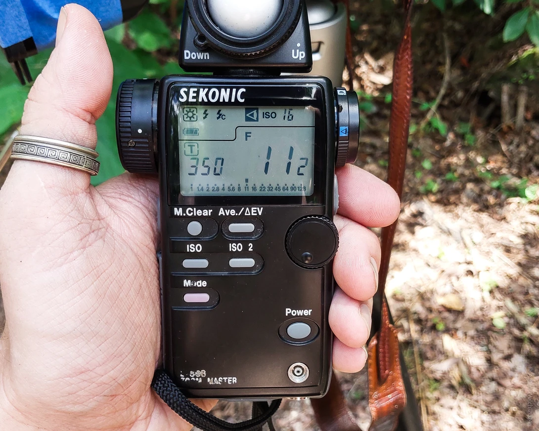 Hand holding a Sekonic light meter displaying exposure readings on its LCD screen in outdoor daylight.