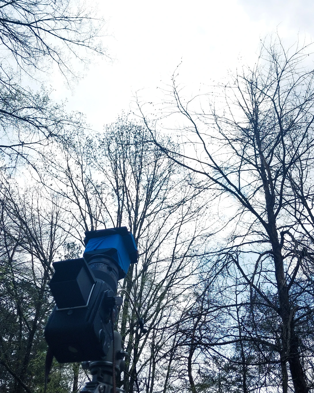 A blue portable speaker mounted on a tall pole against a winter sky with bare branching trees.