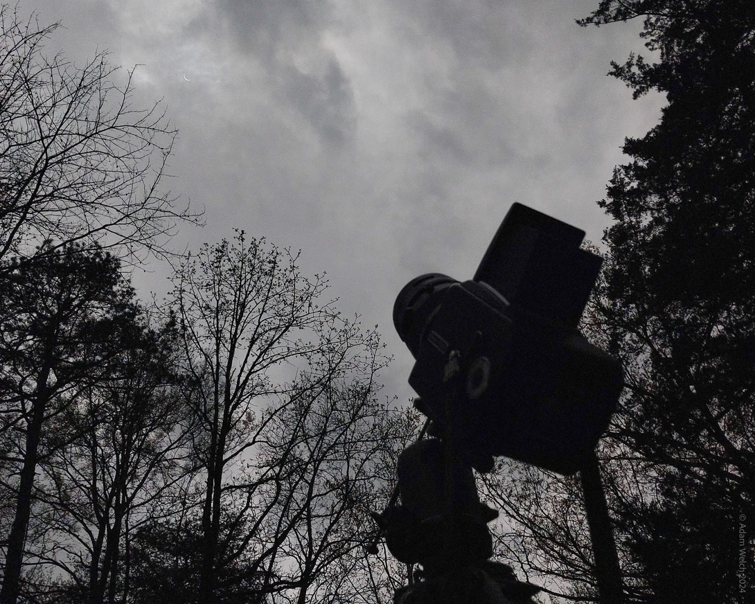 Silhouette of a statue wearing a top hat, framed by bare winter trees against an overcast sky.