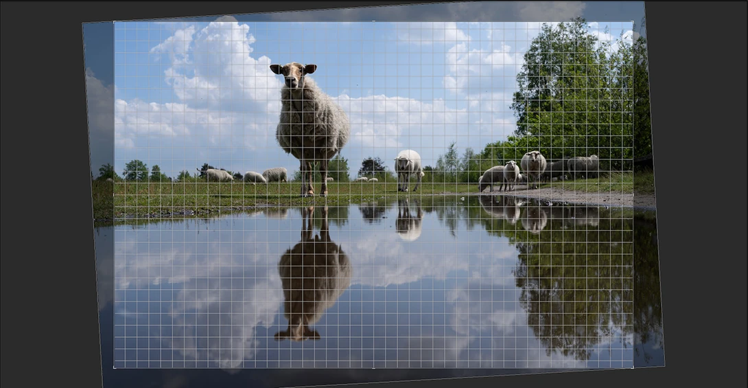 Use a grid overlay to get the horizon horizontal.
