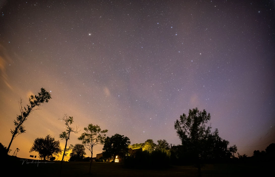 You get a lot of night sky in the frame. But I don't like the perspective distortion. The tree on the left is standing vertical. This is something to be aware of while framing the shot.