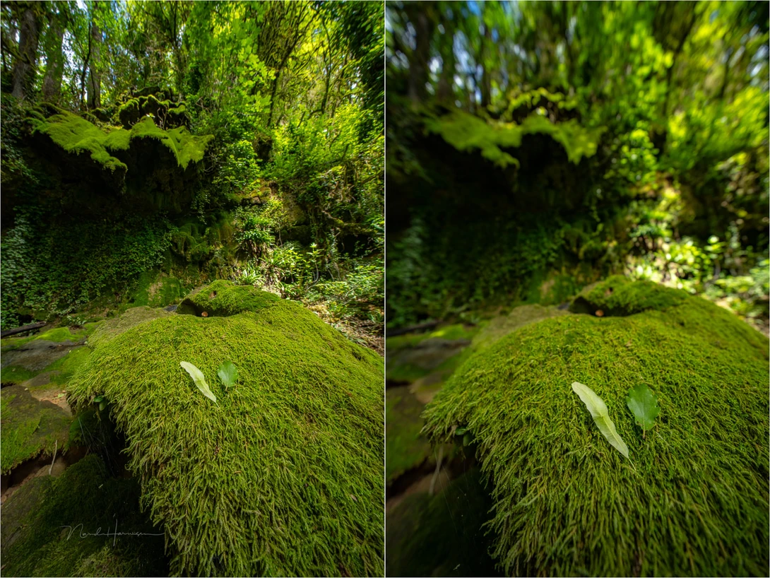 Using the lens for close focussing will make it impossible to get everything in focus. It's better to use a shallow depth of field instead of everything not quite sharp.