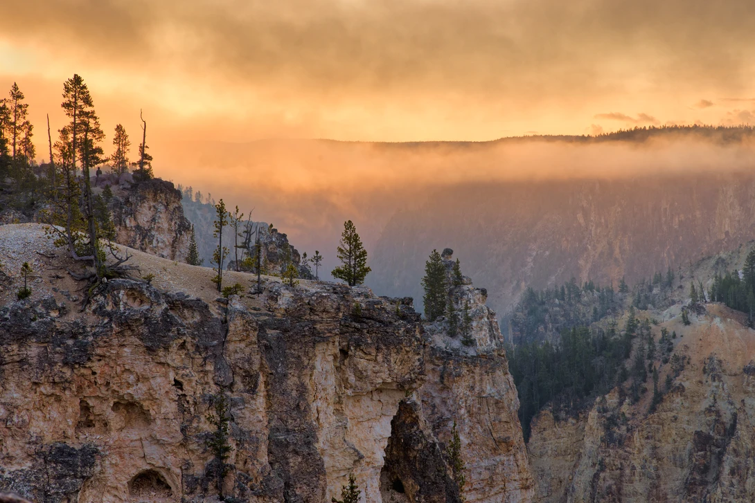 Rocky cliff edge with scattered pine trees overlooking a misty forested canyon at golden hour.