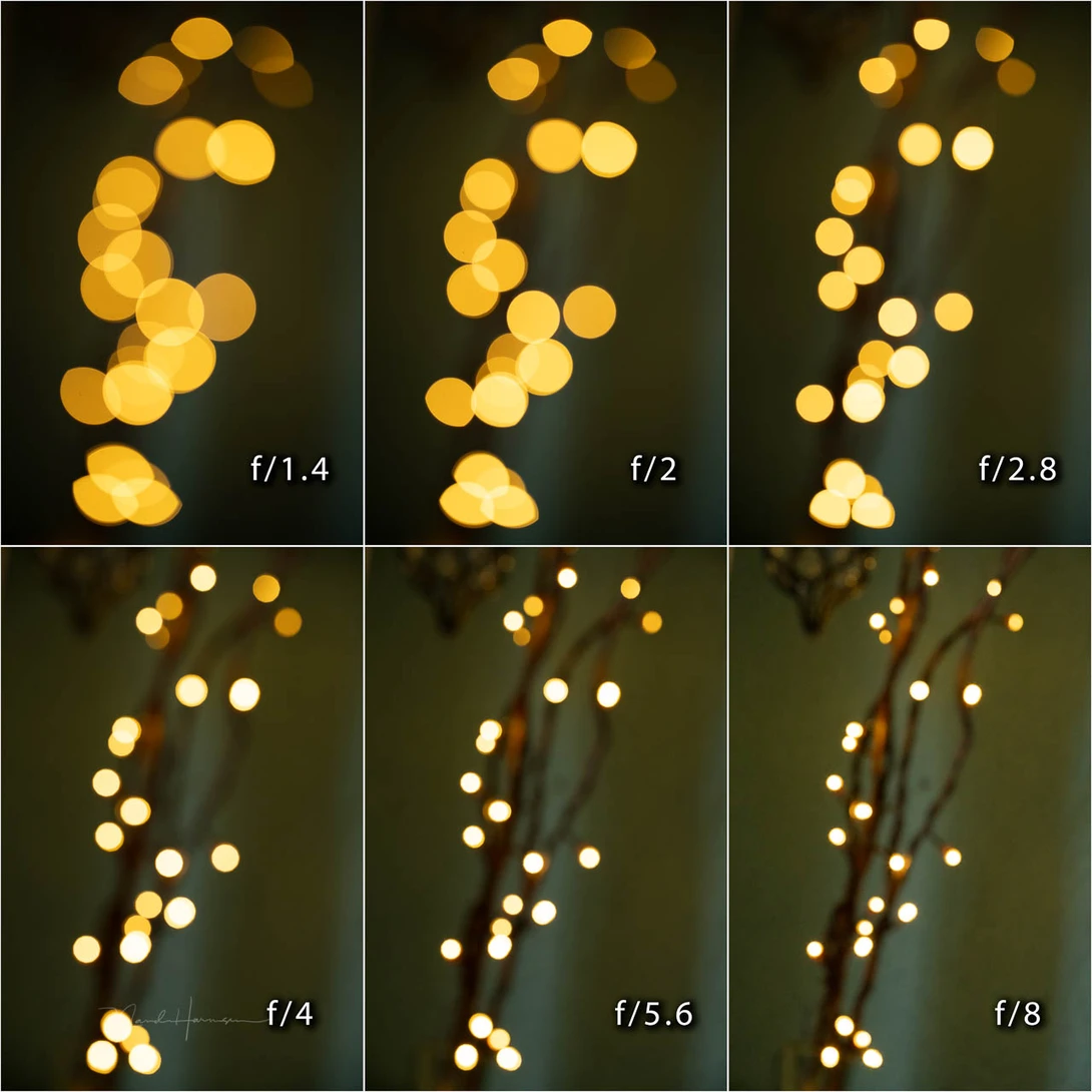 The bokeh rings have a smooth appearance. The round shape never shows signs of the aperture blades when stopped down.