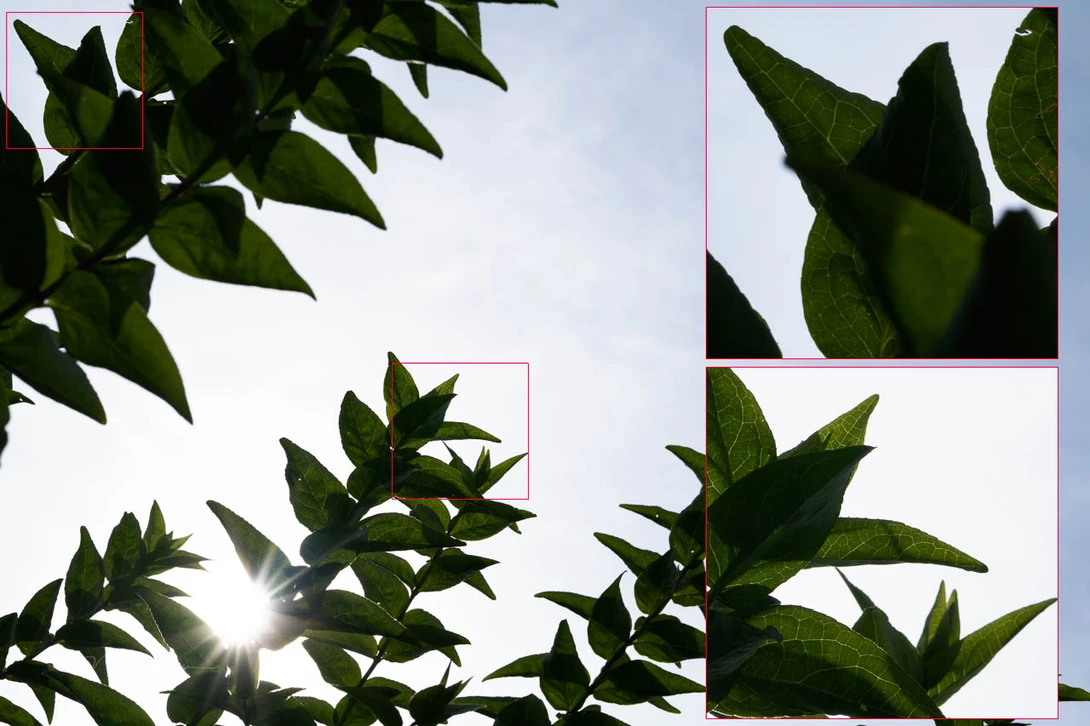 There are no visible signs of chromatic aberration.
