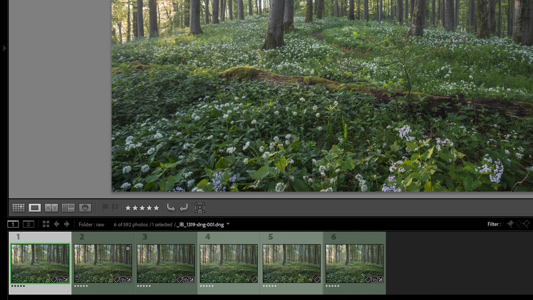 Image Selection
