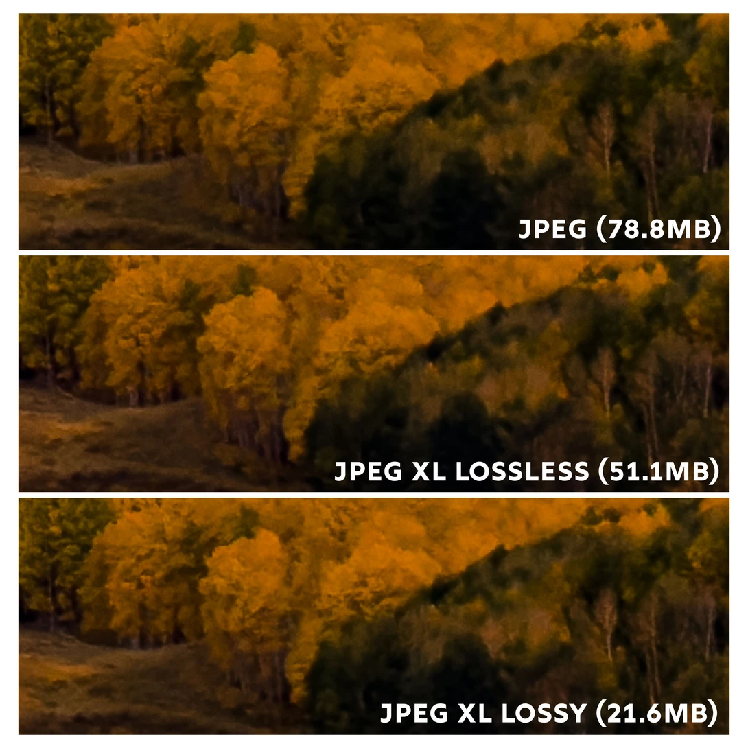 Three side-by-side comparisons of an autumnal forest scene showing JPEG compression quality differences.