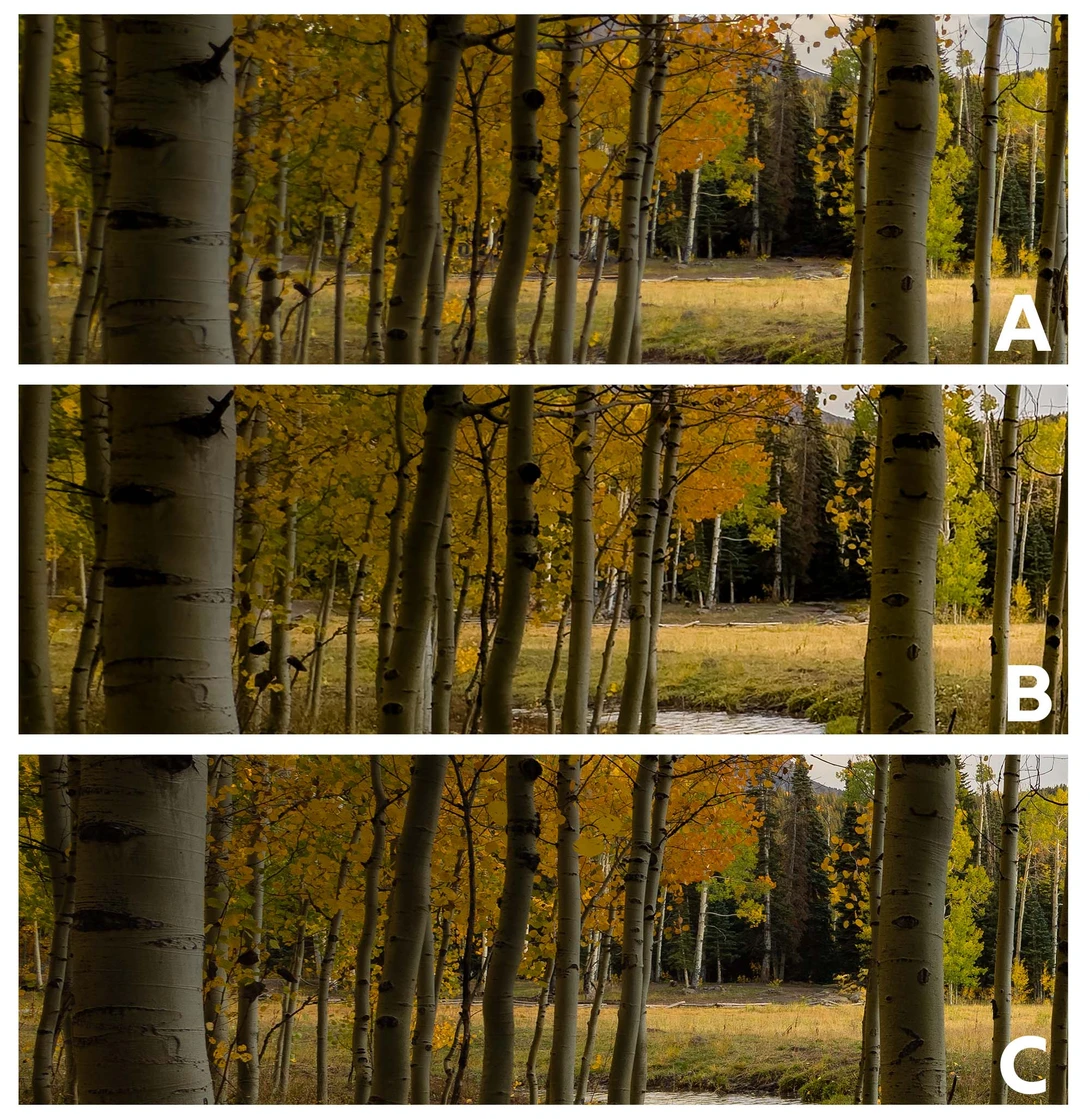 Three nearly identical autumn forest scenes with golden aspens and a sunlit clearing, showing subtle exposure or processing variations.