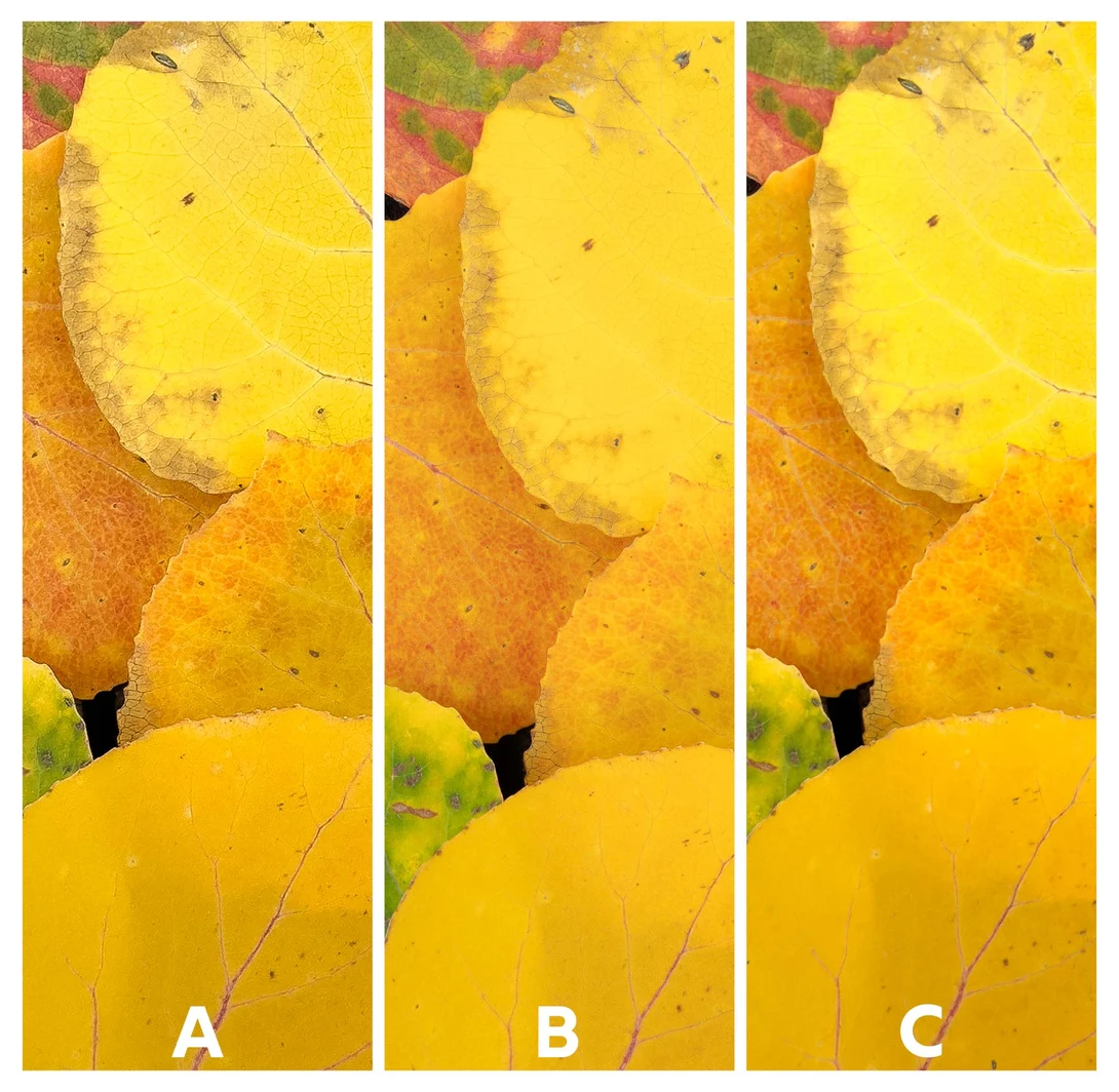 Three side-by-side color grading comparisons of yellow and orange citrus fruits with varying saturation and tone.