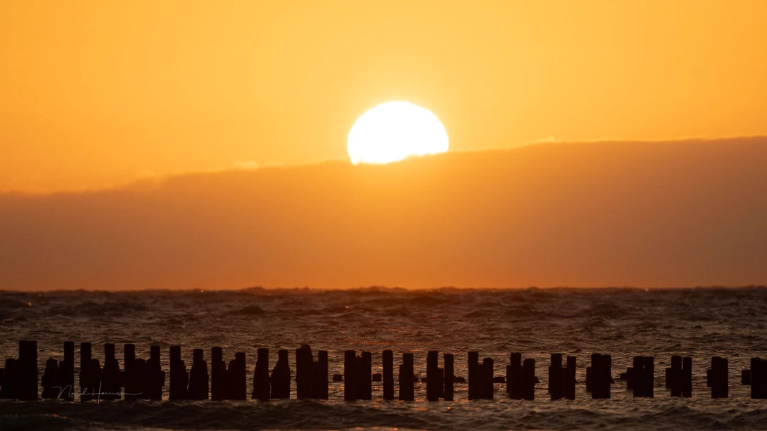 Large sun setting on horizon above silhouetted wooden pilings in water.