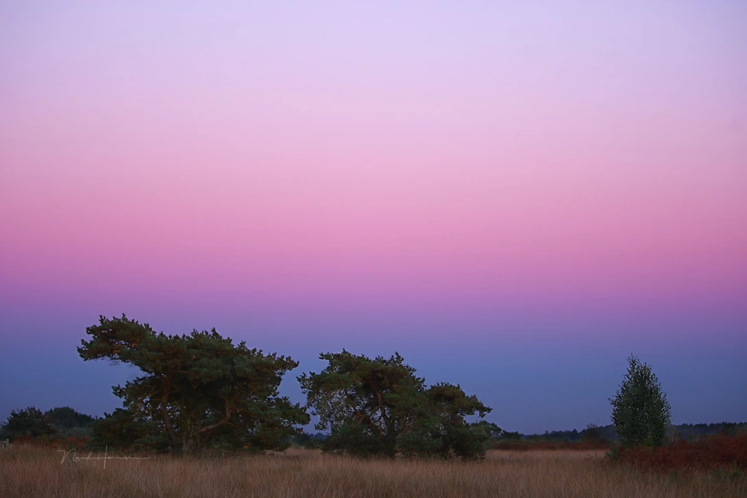 The Belt of Venus. I do need to find a more beautiful foreground.