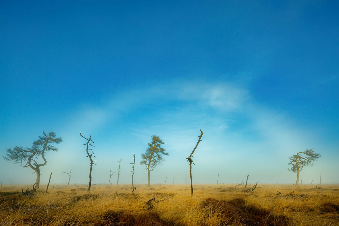 A rare appearance of a fogbow.&nbsp;