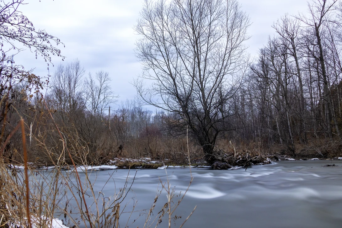 Chittenango Creek with the EOS R50 and a long exposure.