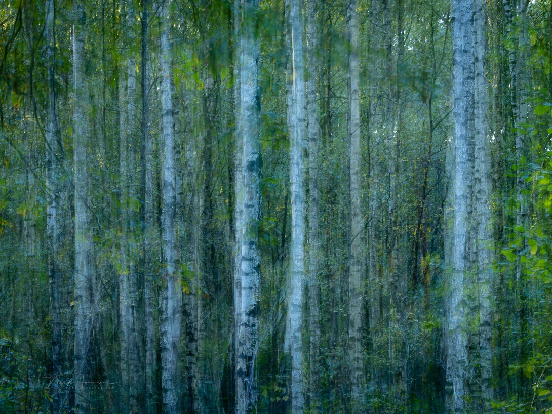 Multiple exposure and ICM can be combined perfectly. It offers a lot of freedom and possibilities.
