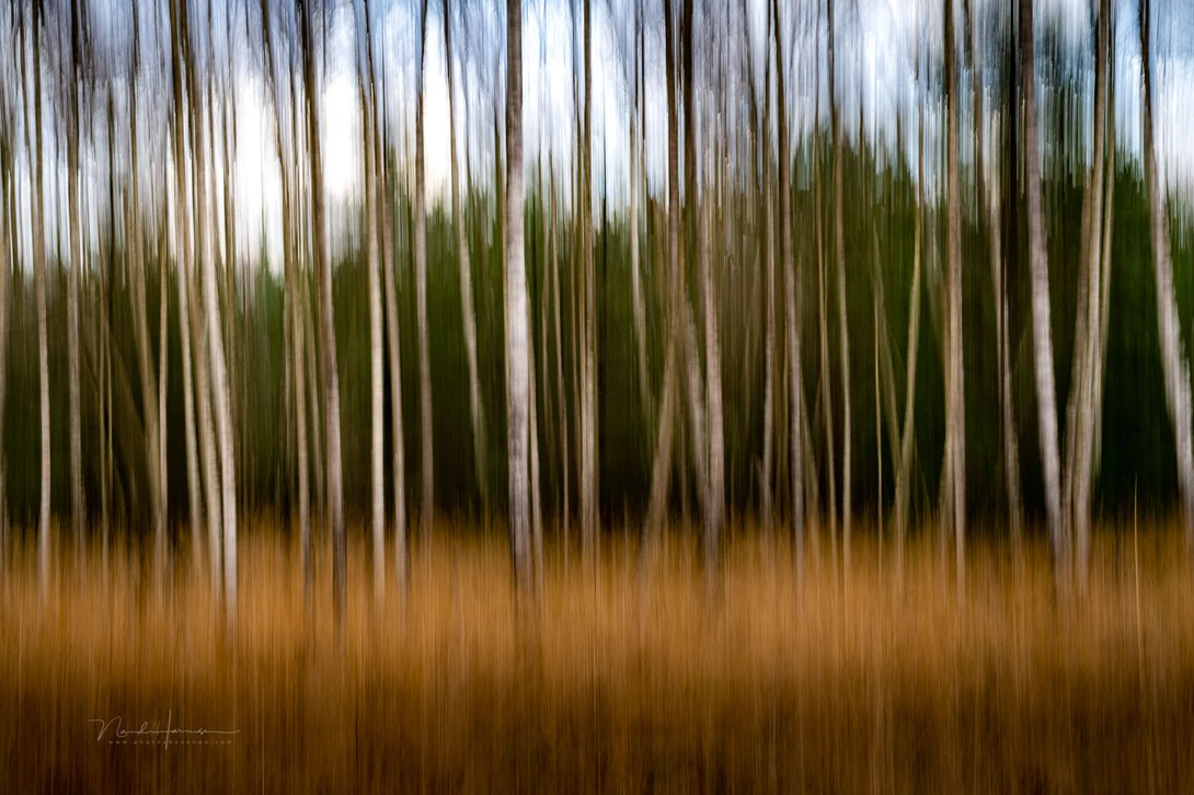 I believe this was my first ICM photo. Simple, and nothing special. But it's a start.