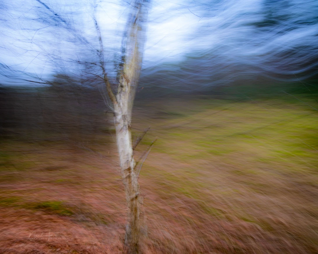 A complex camera movement to capture something special. You need trial and error for this.