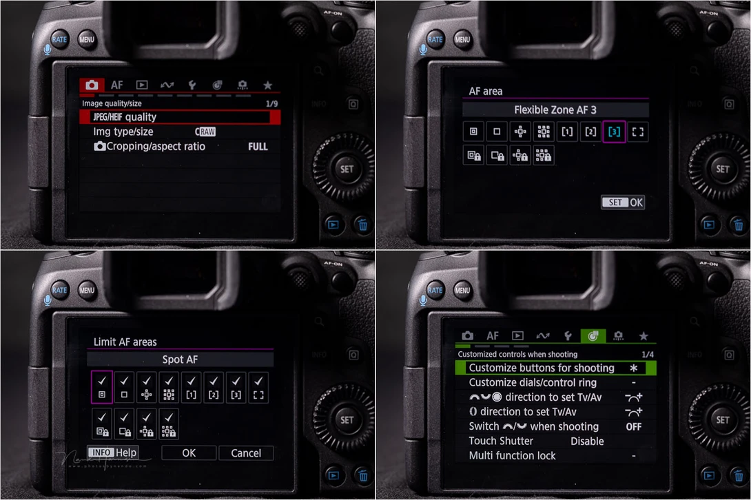 An impression of the menu system and customization options.