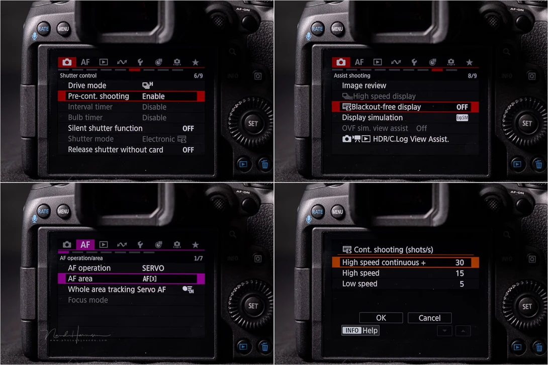 Some key autofocus settings to get an impression of the menu system.