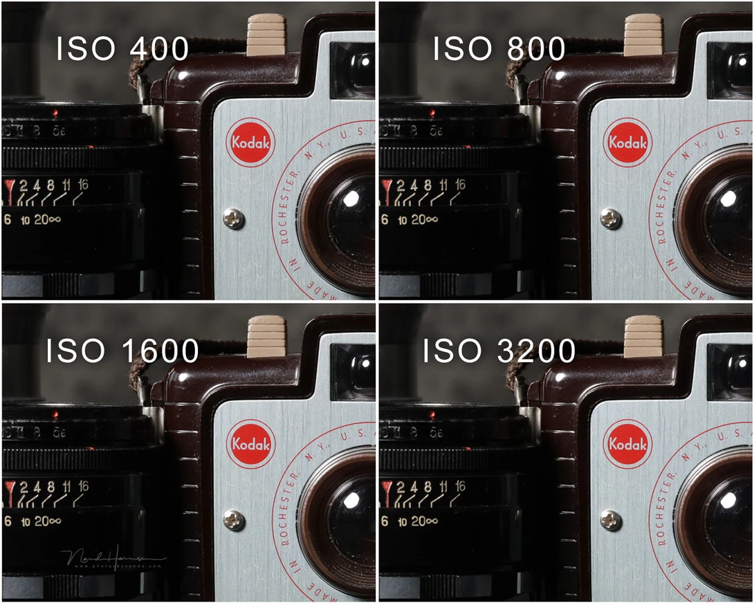 ISO comparison on a 100% crop. In-camera JPEG with standard settings, unedited