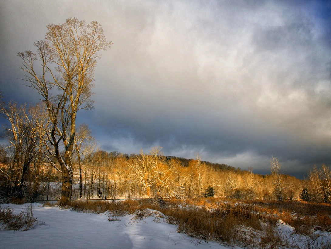 Winter light, Vermont