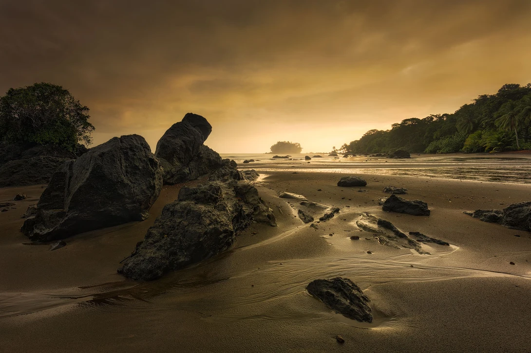 Pacific Rim