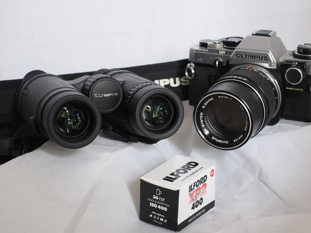 Collection of Olympus film cameras and lenses arranged with an Ilford film box on white background.