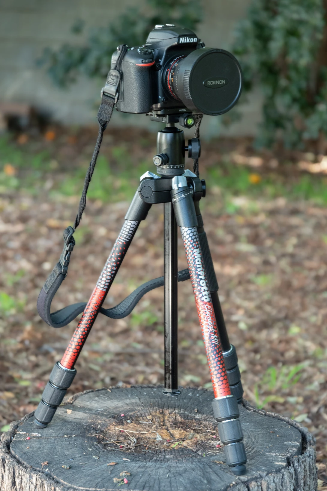 Nikon D750 DSLR camera and a Manfrotto Element tripod.