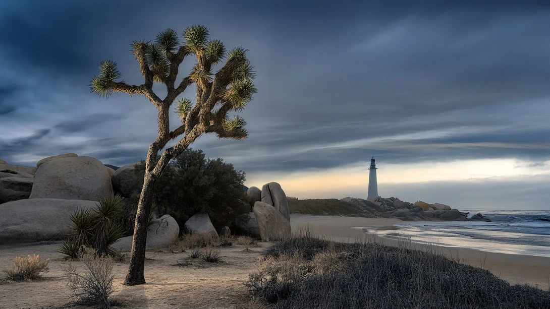 Joshua Tree photo on left, AI-generated image of a seashore on right.