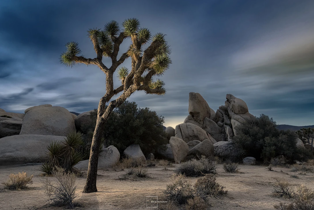 Joshua Tree National Park, CA