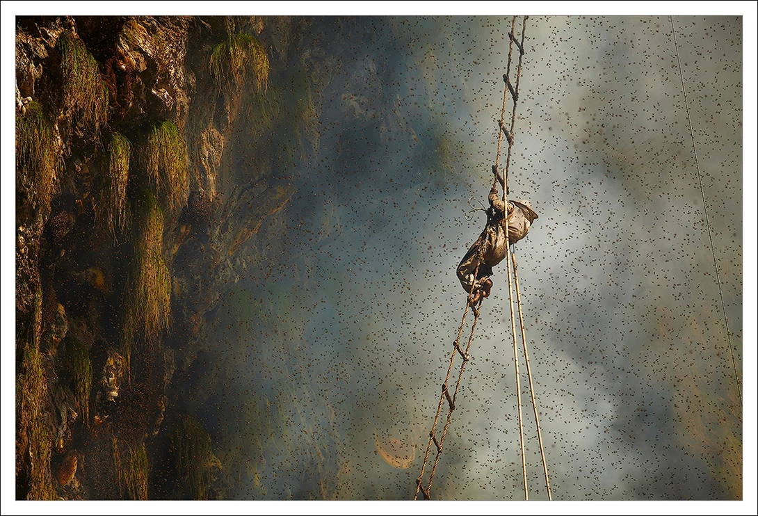 Honey Hunters of Nepal | © Andrew Newey