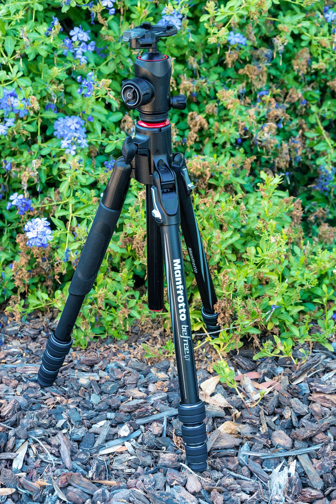 Professional camera tripod with fluid head mounted in a garden with blue flowers and green foliage.