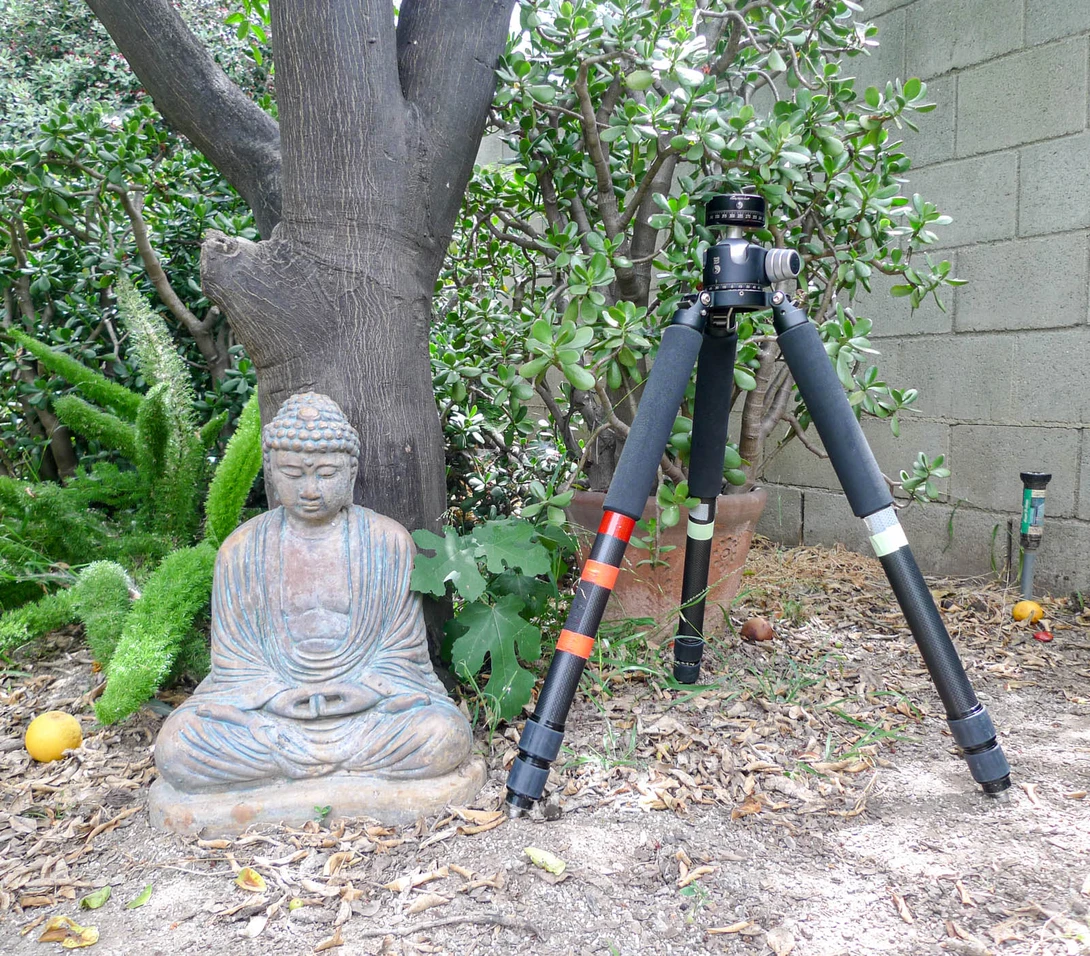 Camera tripod positioned next to a stone Buddha statue in a garden setting beneath a large tree.