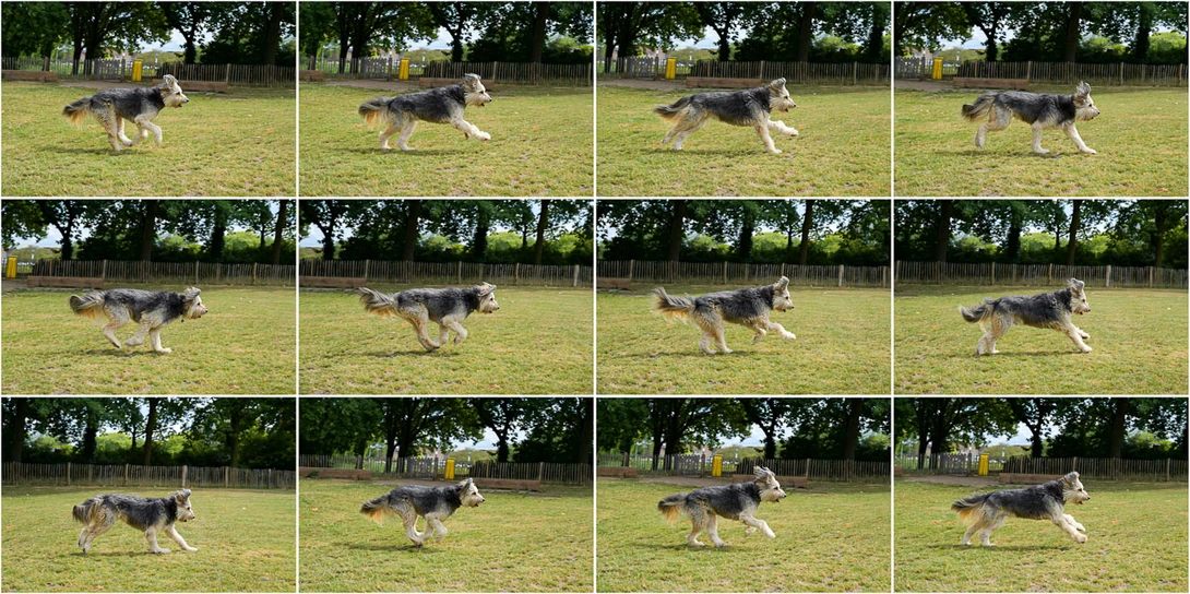 If the subject is large in the frame, the autofocus is performing good. This is captured in Jpeg, 30 frames per second.