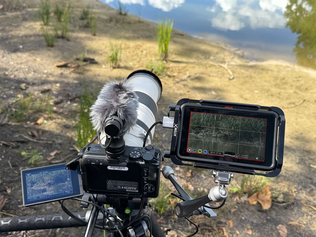 I recorded some footage in the park with an external recorder. You can see some results in the video that comes with the article.